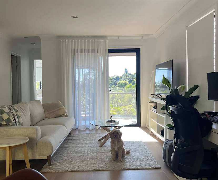 Room in a share house