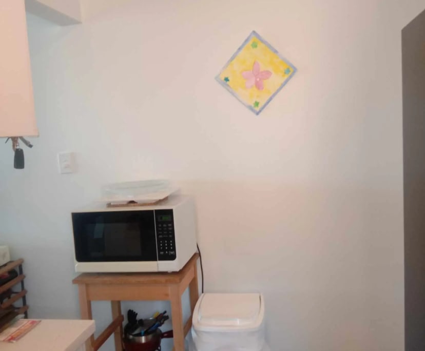 $375, Flatshare, 2 bathrooms, Monterey NSW 2217