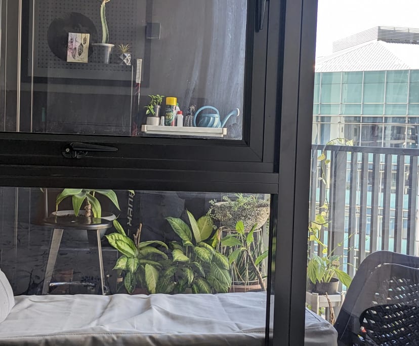 $800, 1-bed, 1 bathroom, Brisbane City QLD 4000