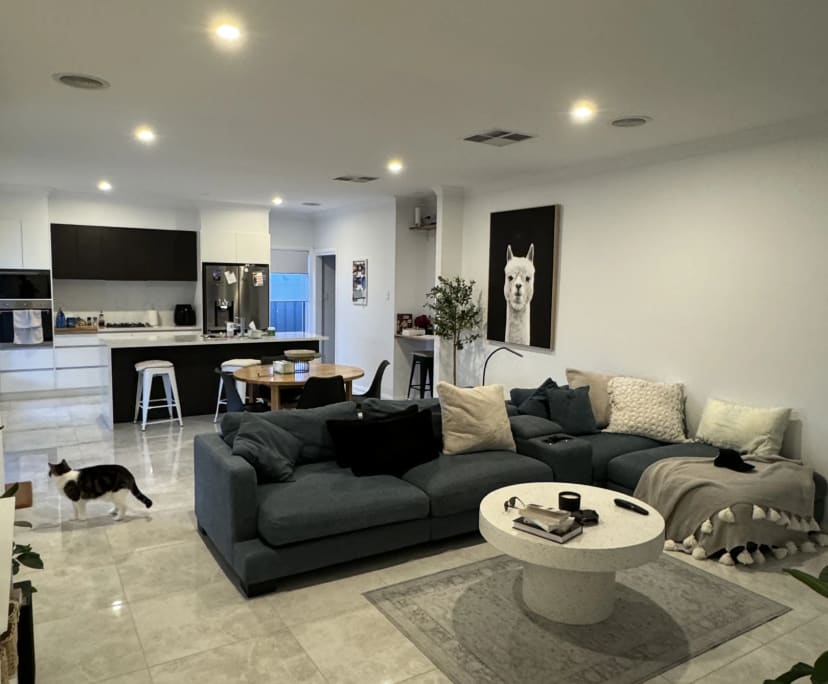 Furnished room in a share house