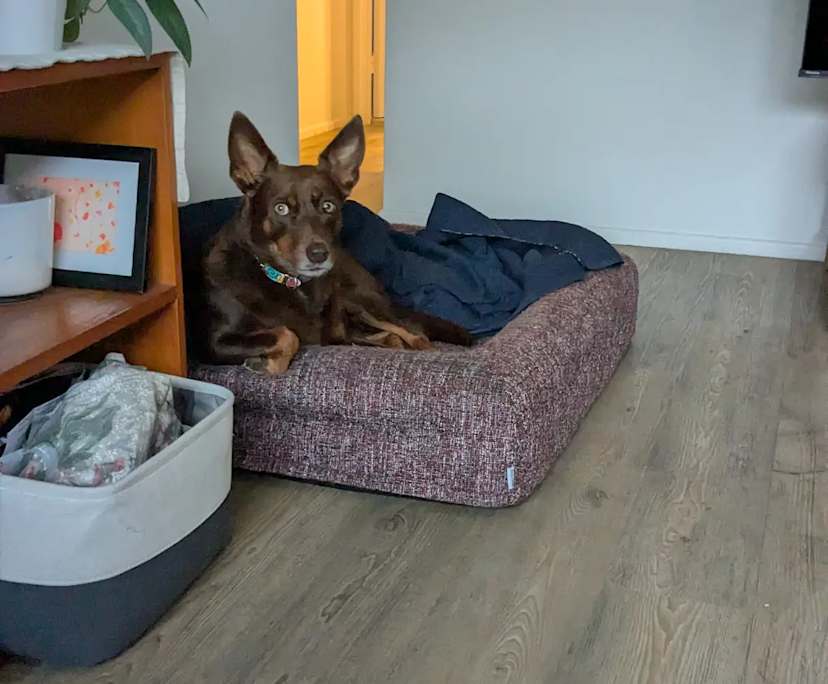 Room in a flatshare