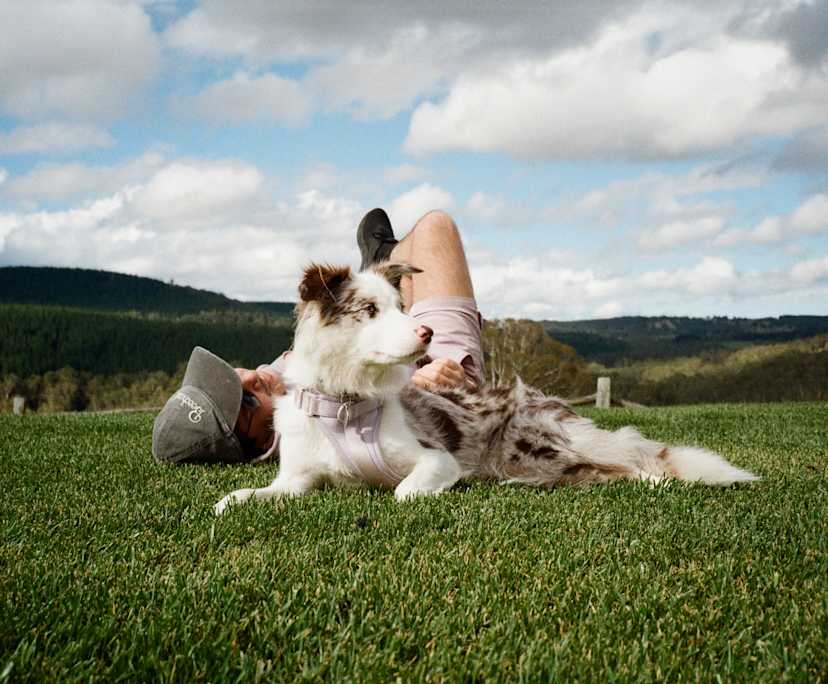 $600, Share-house, 4 bathrooms, Bondi NSW 2026