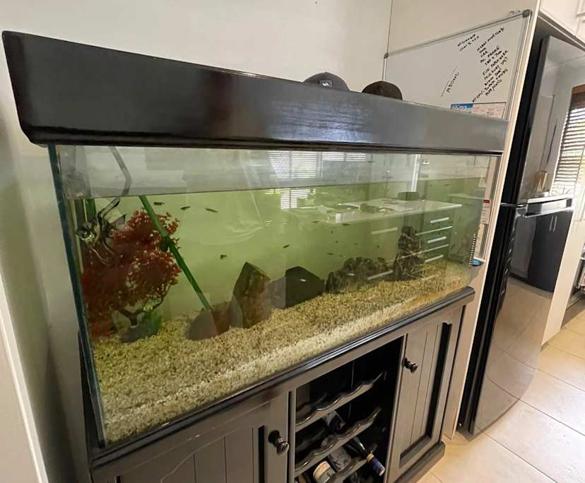 $380, Share-house, 3 bathrooms, Scarborough WA 6019