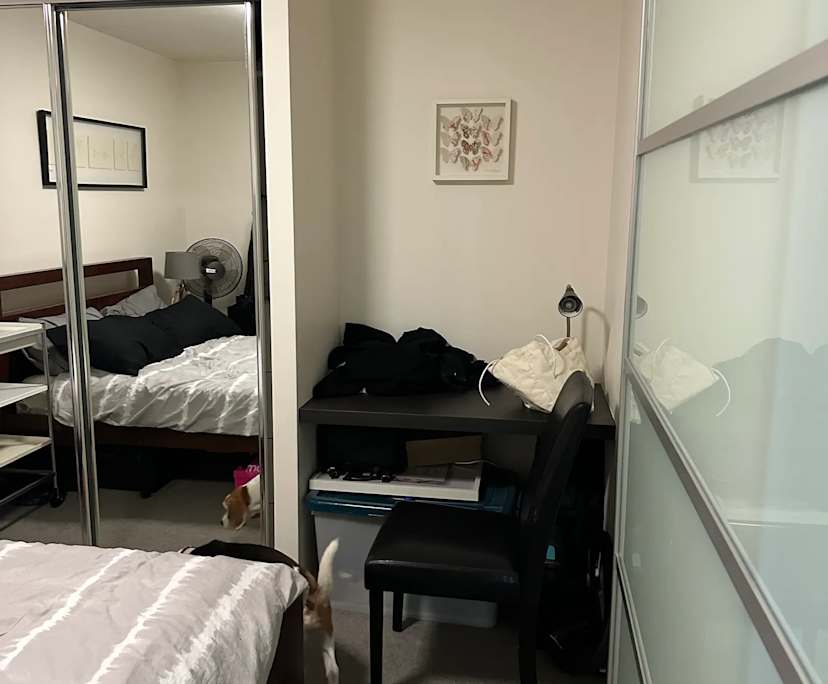 $350, Flatshare, 2 bathrooms, Kangaroo Point QLD 4169