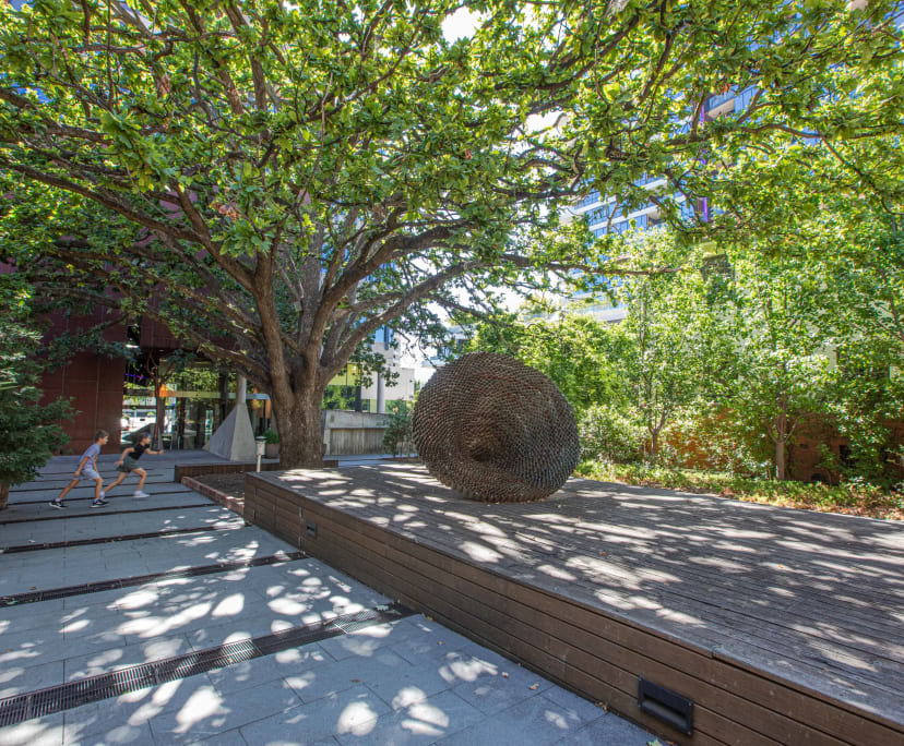 $420, Flatshare, 2 bathrooms, Canberra ACT 2601