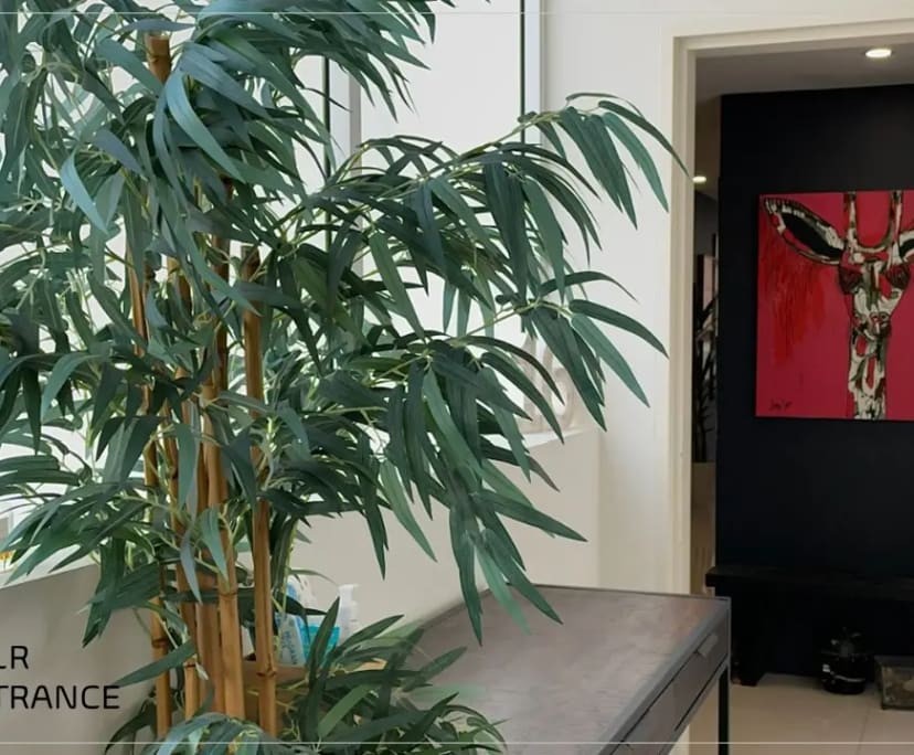 $600, Flatshare, 2 bathrooms, Newcastle NSW 2300