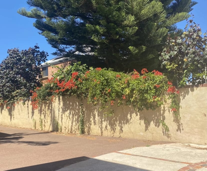 $350, Share-house, 3 bathrooms, Fremantle WA 6160