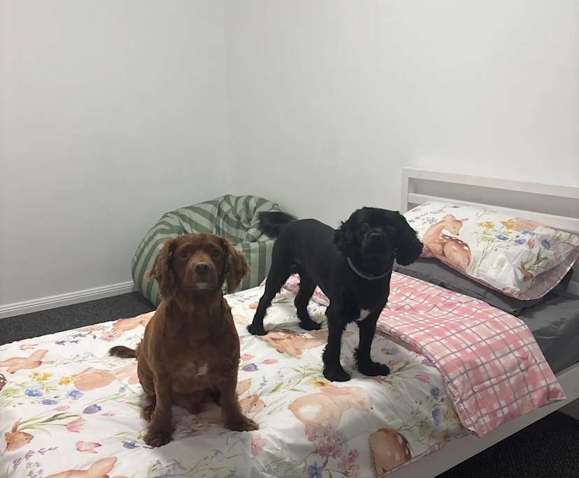 Unfurnished room in a flatshare