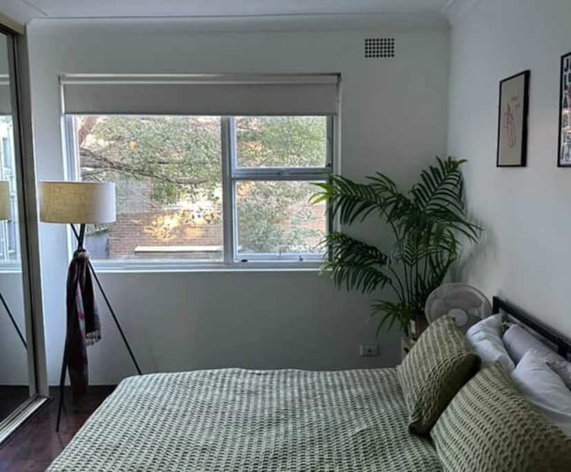 Whole property with 2 rooms for rent