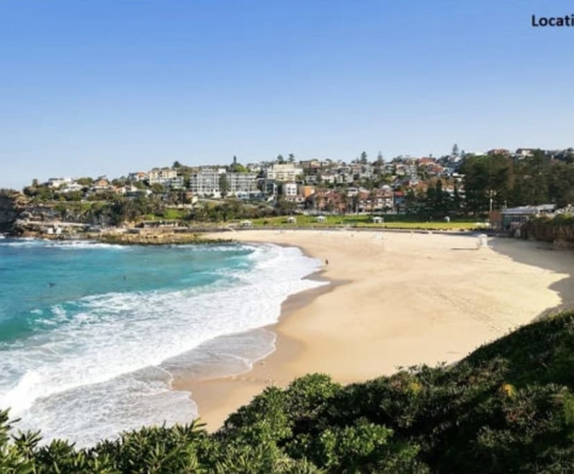Studio for Rent in Bronte, Sydney 480, Unfurnished,