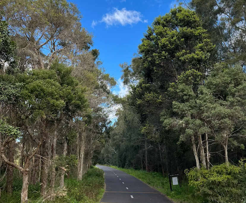 $420, Whole-property, 1 bathroom, Wentworth Point NSW 2127