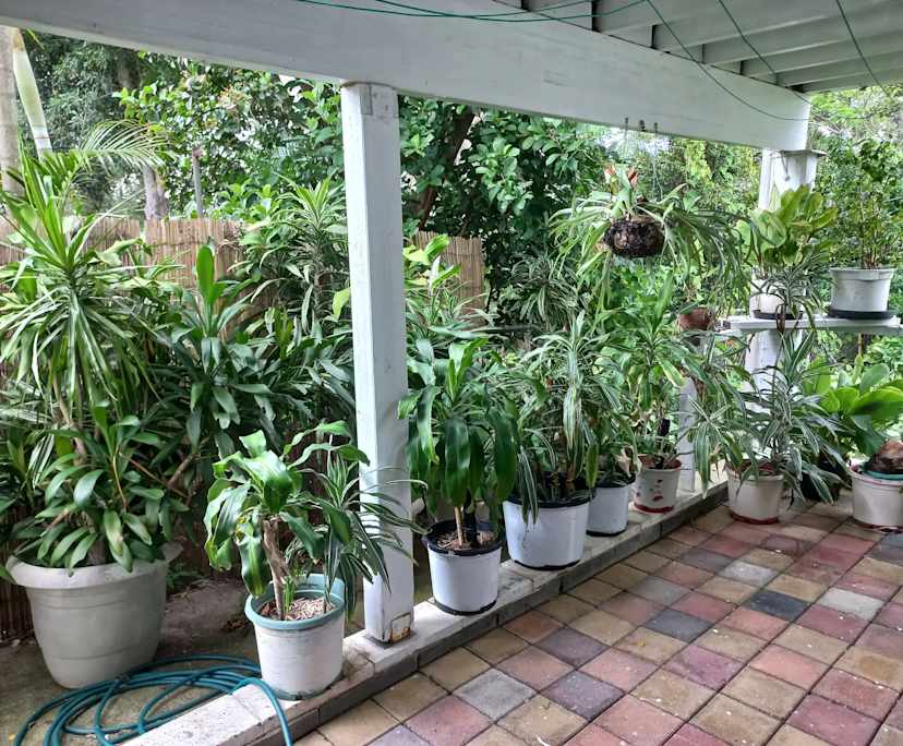 $250, Share-house, 4 bathrooms, Lota QLD 4179