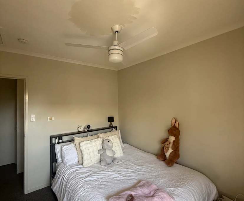 Room in a share house