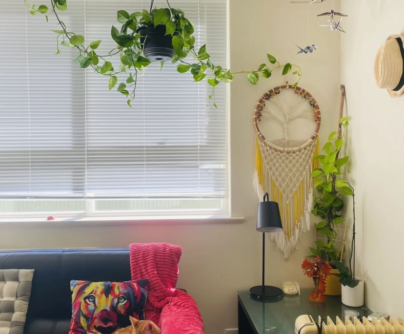 Furnished room in a flatshare