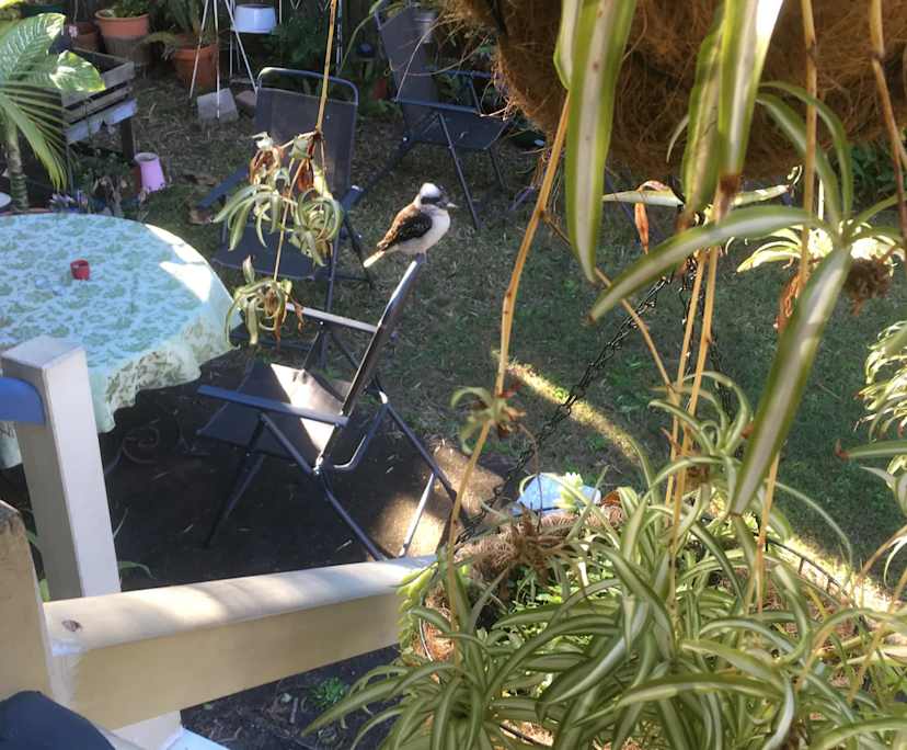 $280, Share-house, 3 bathrooms, West End QLD 4101