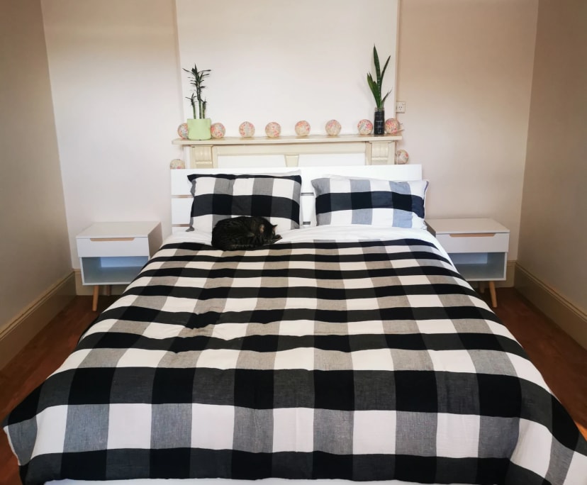 Furnished room in a share house