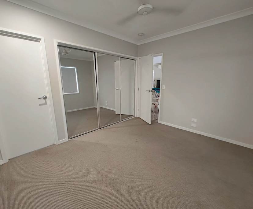 Whole property with 4 rooms for rent