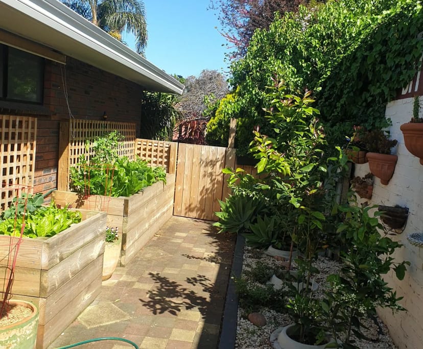 $250, Share-house, 5 bathrooms, Sale VIC 3850