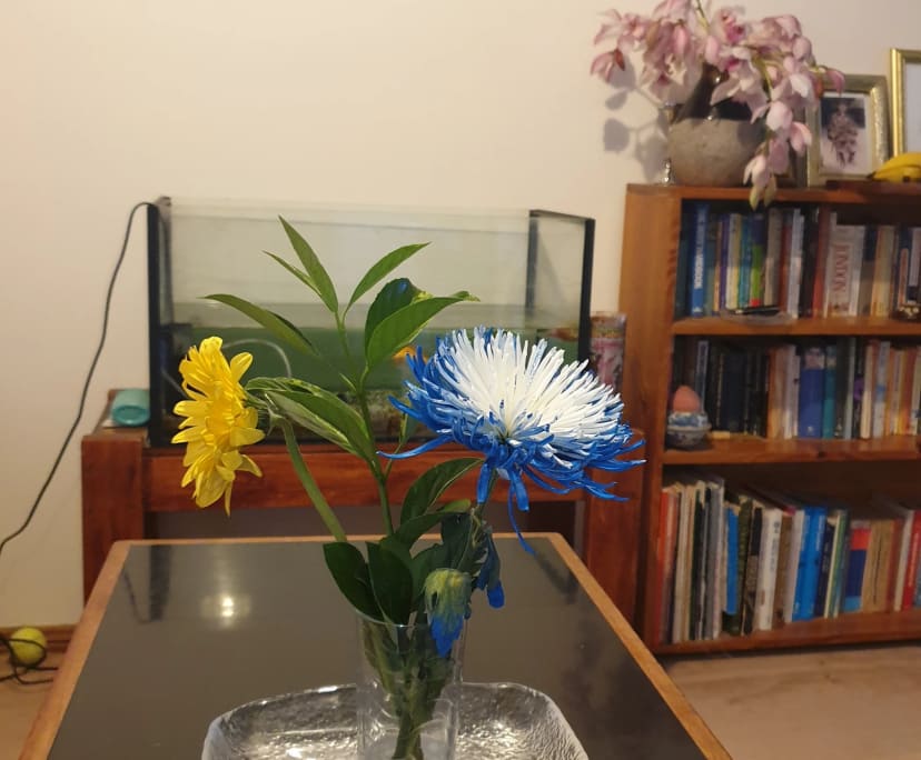 $300, Share-house, 3 bathrooms, O'Connor ACT 2602