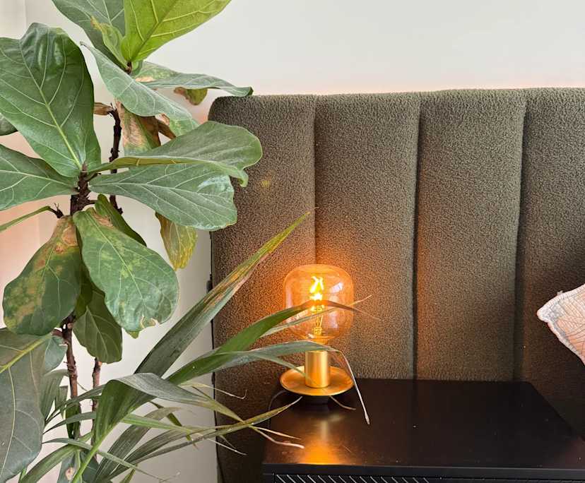 $750, Flatshare, 3 bathrooms, Mascot NSW 2020