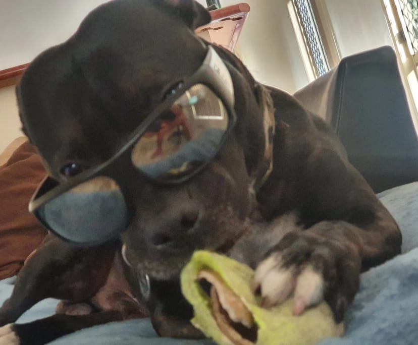 $250, Flatshare, 3 bathrooms, Calamvale QLD 4116