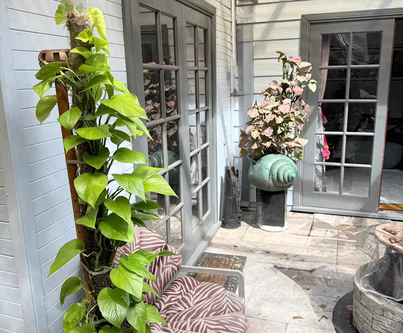 $650, Share-house, 2 bathrooms, Rozelle NSW 2039