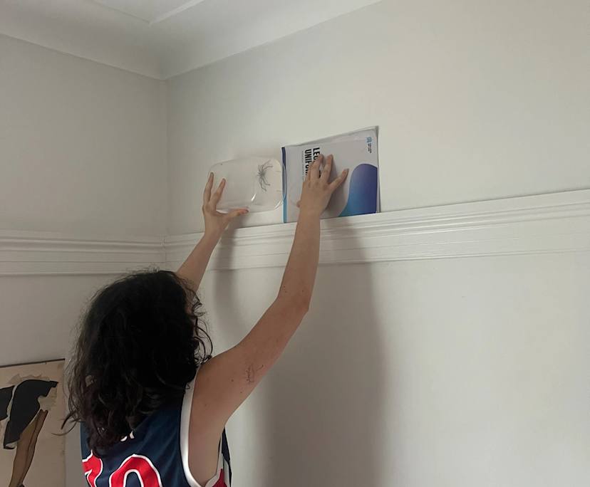 $210, Share-house, 4 bathrooms, Towradgi NSW 2518