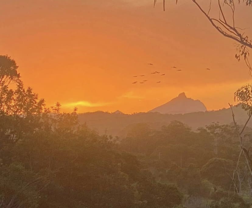 $300, Share-house, 3 bathrooms, Tanglewood NSW 2488