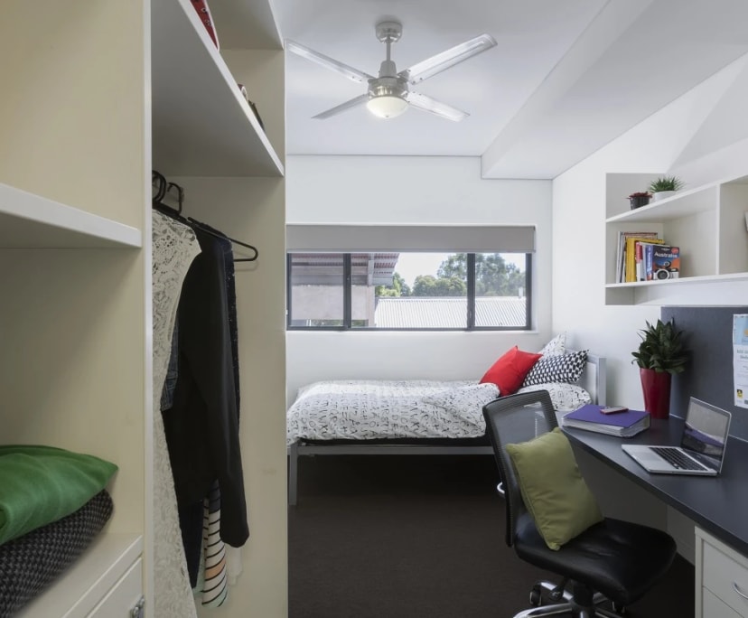 $222-253, Student-accommodation, 2 rooms, Mount Lawley WA 6050, Mount Lawley WA 6050