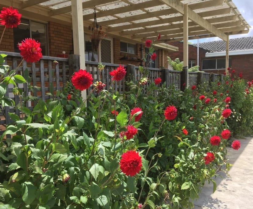 Studio for Rent in North Rocks, Sydney 400, Flexi...