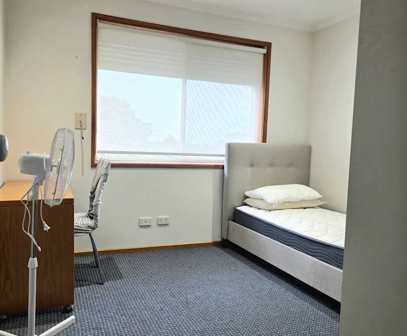 Room in a share house