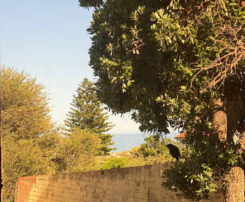 $310, Share-house, 3 bathrooms, Scarborough WA 6019