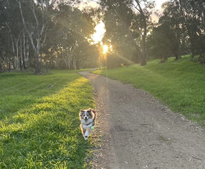 $380, Share-house, 2 rooms, Maribyrnong VIC 3032, Maribyrnong VIC 3032