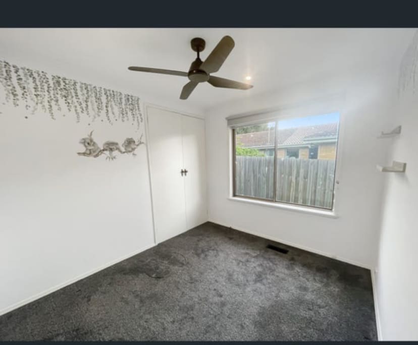 Room in a share house