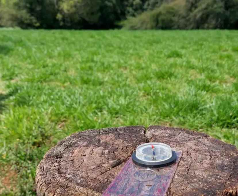 $230, Share-house, 5 rooms, Malanda QLD 4885, Malanda QLD 4885