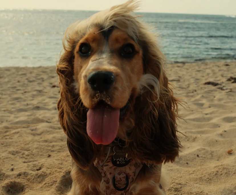 $300, Share-house, 3 bathrooms, Margaret River WA 6285