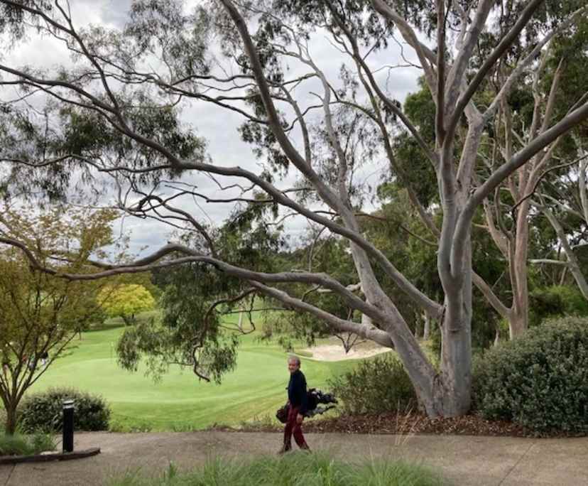 $300, Share-house, 2 bathrooms, Kew VIC 3101