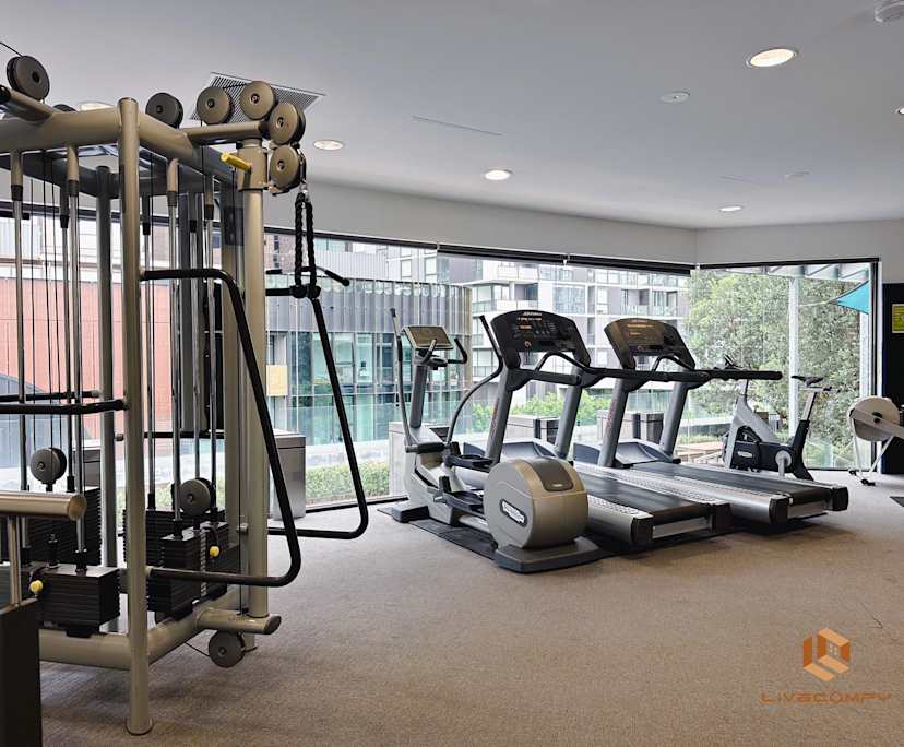 $420, Flatshare, 3 bathrooms, Docklands VIC 3008