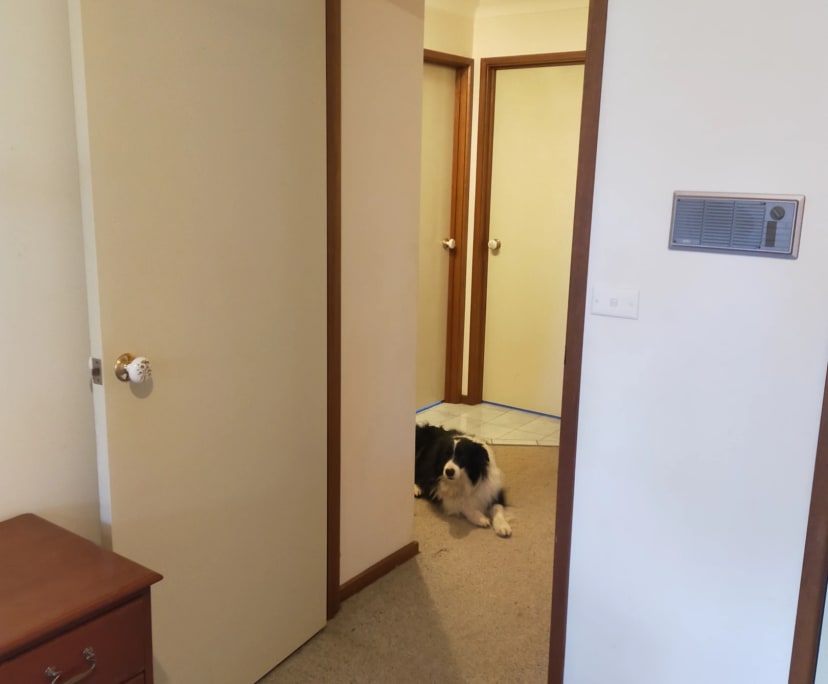 Furnished room with own bathroom