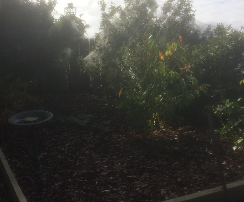 $100, Share-house, 4 bathrooms, Waitpinga SA 5211