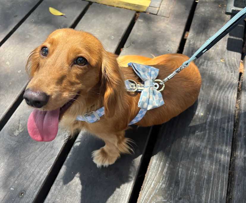 $420, Share-house, 3 bathrooms, Jindalee QLD 4074