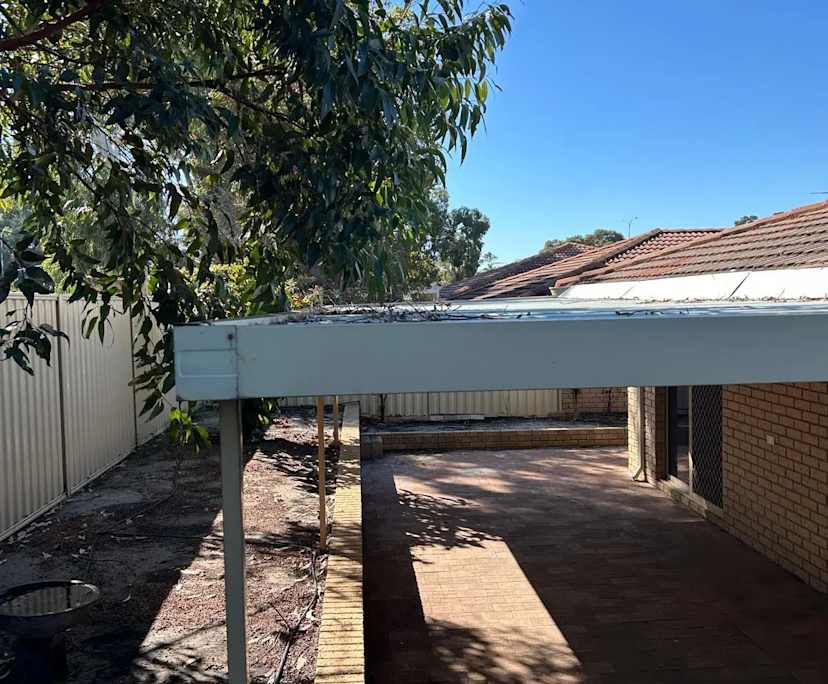 $250, Share-house, 3 bathrooms, Shelley WA 6148