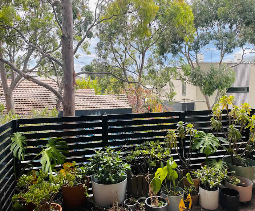 $290, Share-house, 3 bathrooms, Brunswick East VIC 3057