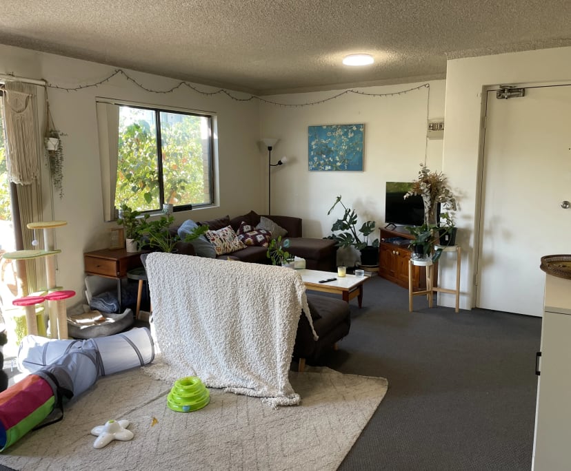 Room in a flatshare