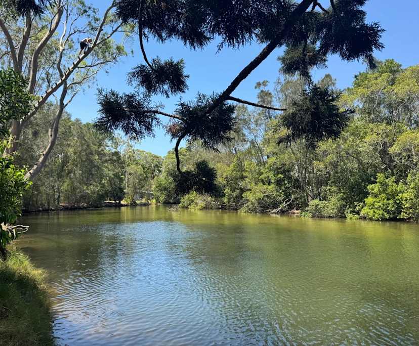 $500, Granny-flat, 1 bathroom, Ocean Shores NSW 2483