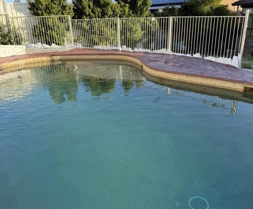 Whole property with 5 rooms for rent