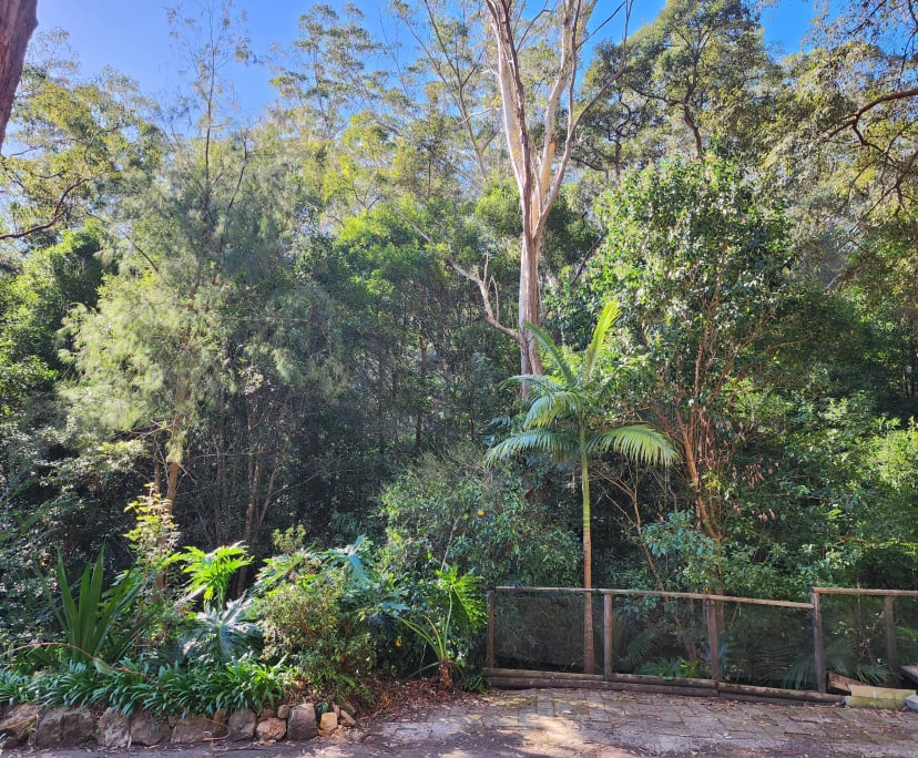 Studio for Rent in Hornsby, Sydney 450, Furnished...