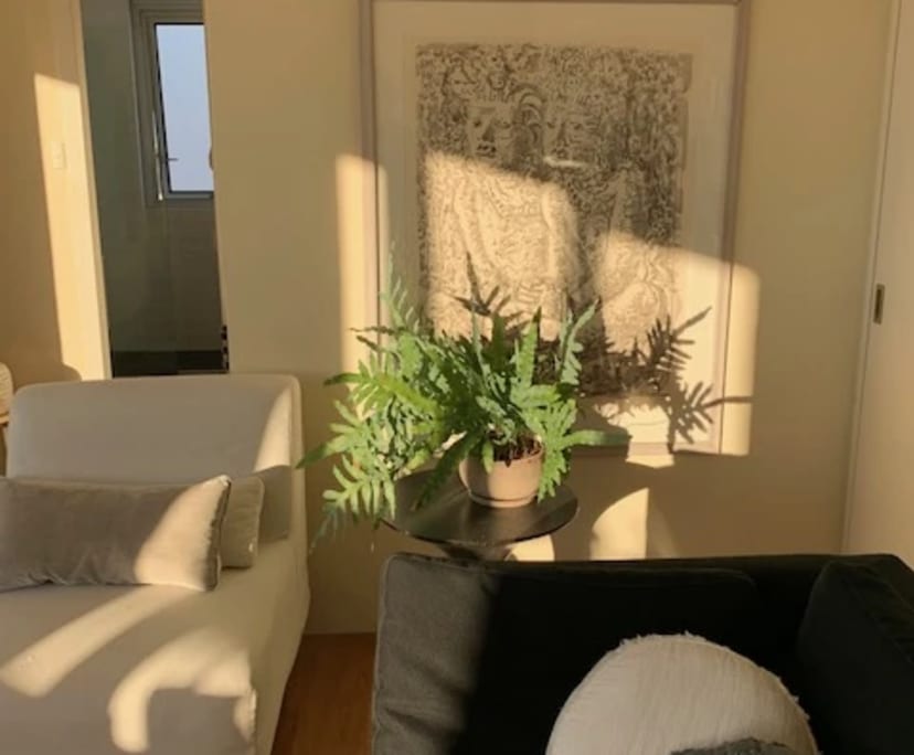 $800, Flatshare, 2 bathrooms, Woollahra NSW 2025