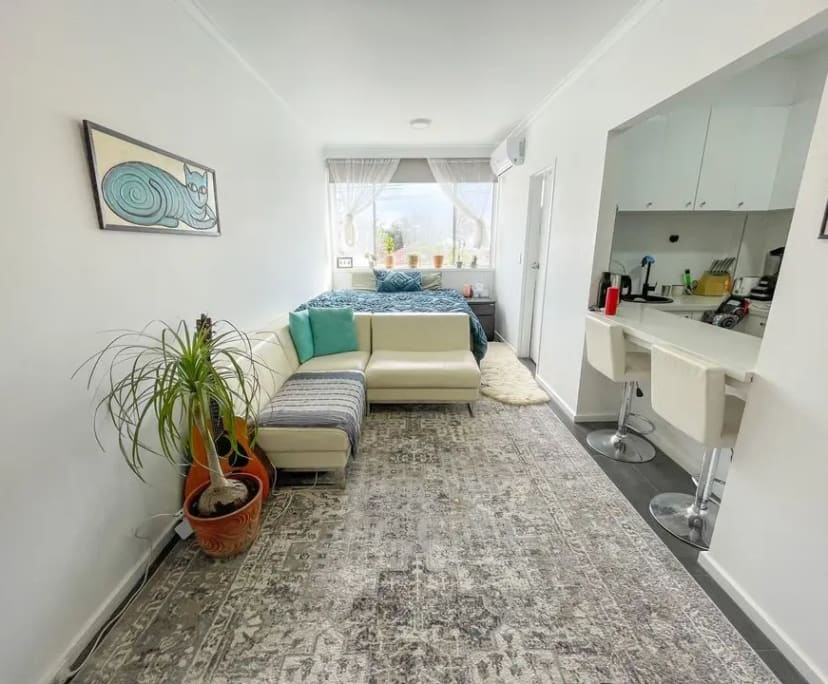 $500, Studio, 1 bathroom, St Kilda East VIC 3183