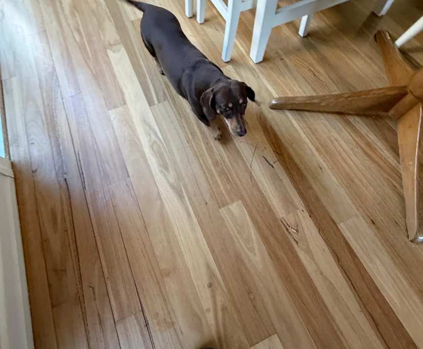 $400, Share-house, 2 bathrooms, Port Melbourne VIC 3207